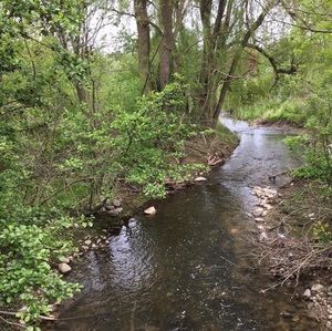 Meet your Posher, Veronica